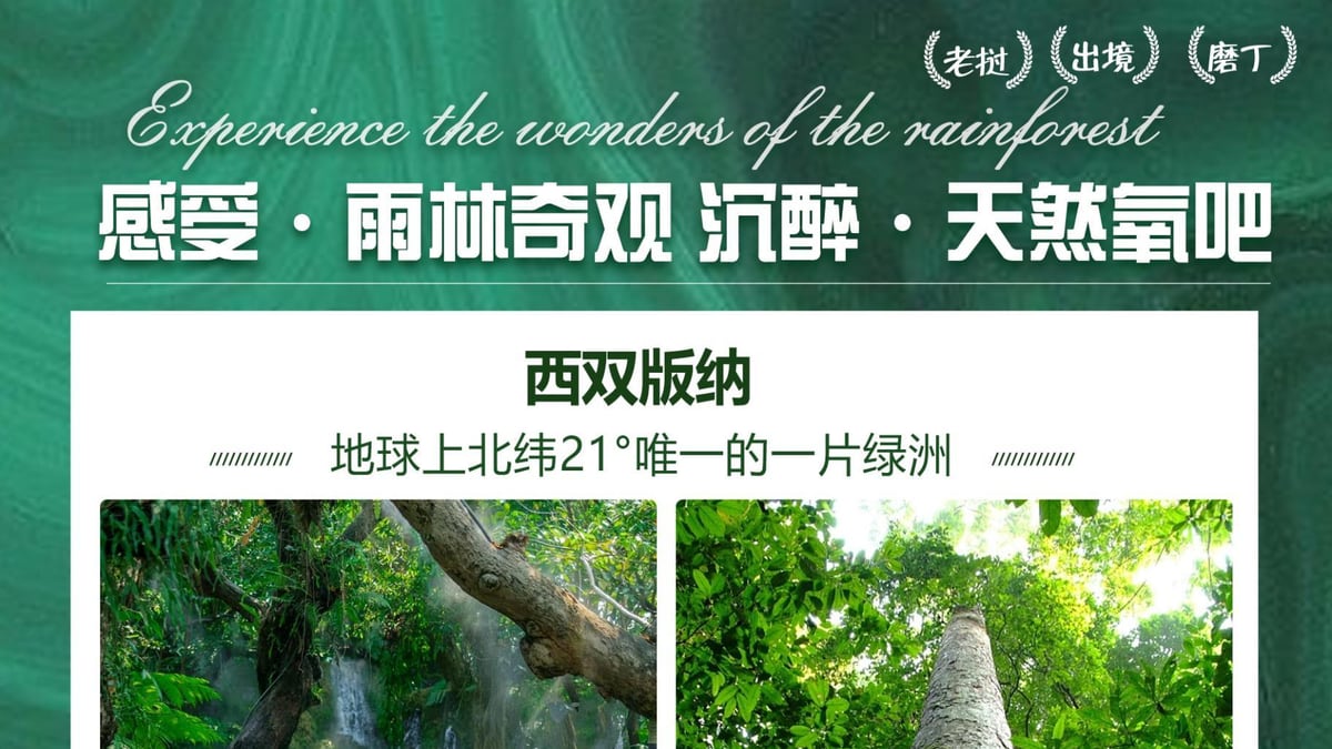 中老边境6天5晚磨丁跨境游 图片 2