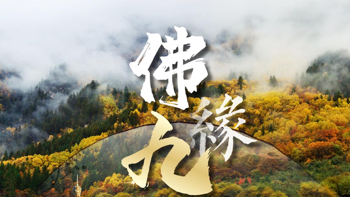 九寨黄龙峨眉乐山7天6晚双遗深度线