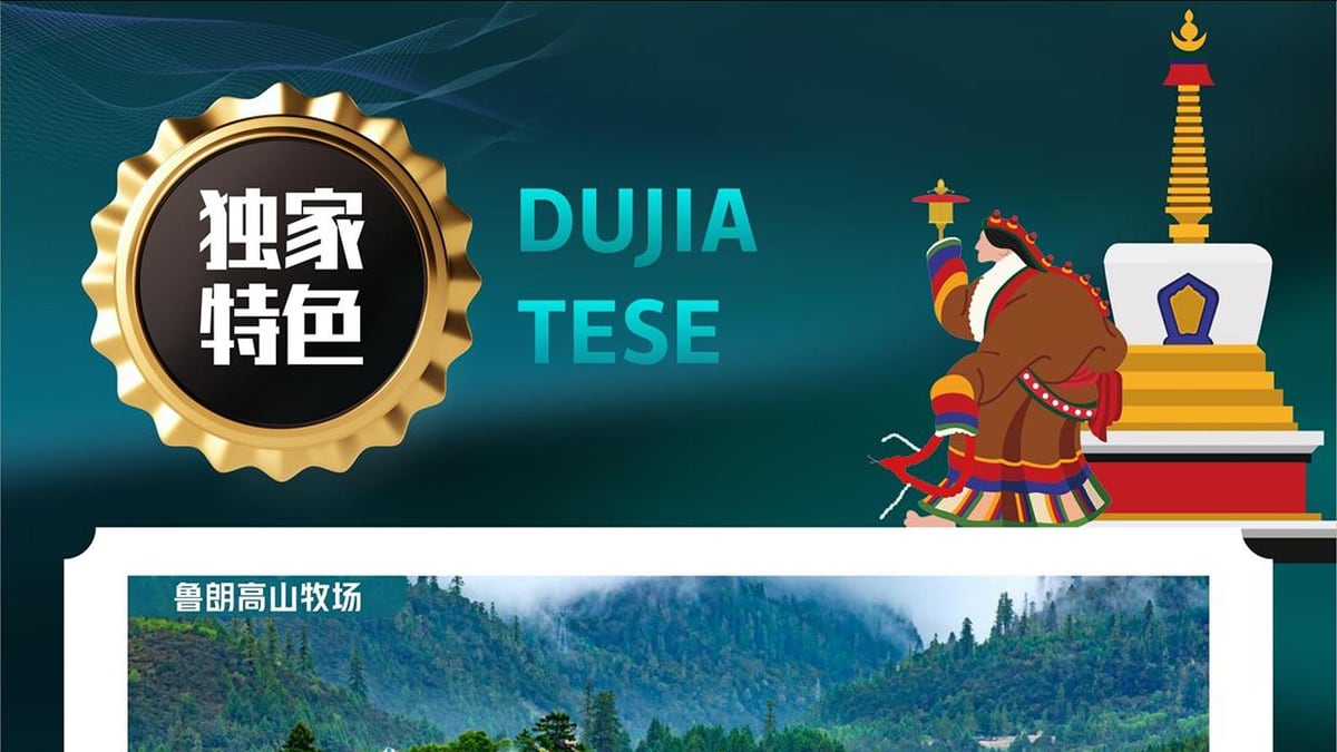 桃缘西藏7天6晚经典游 图片 5