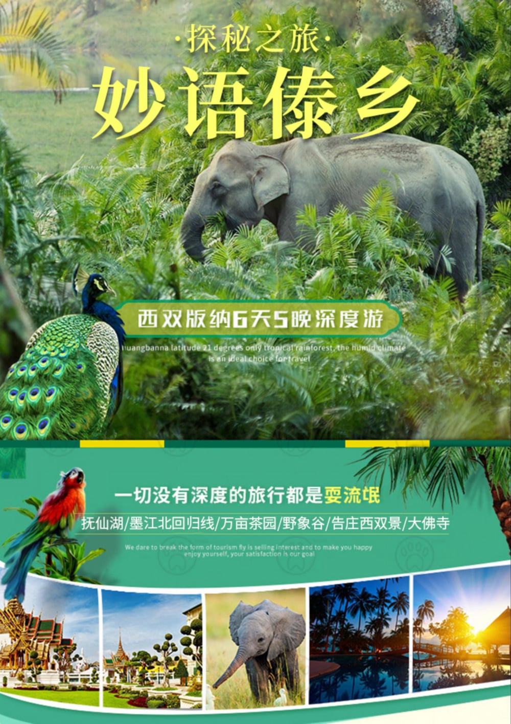 昆明版纳6天5晚雨林傣乡线 图片 1